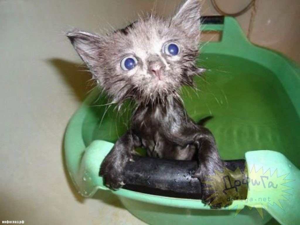 1487322589_06e81d473d962a53c7f0372dad7.j